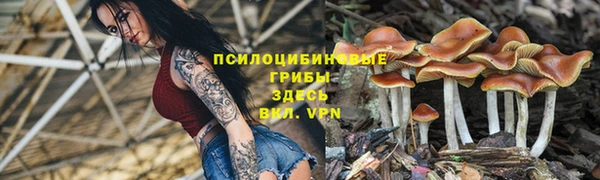мескалин Надым