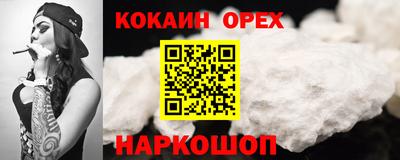 гашик Жуковский