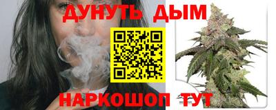 гашик Жуковский