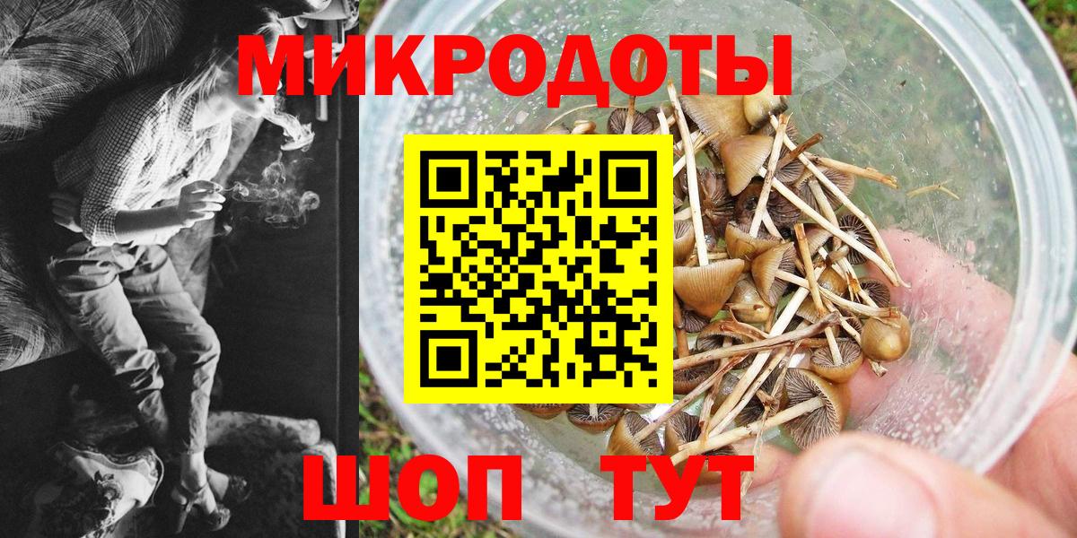 Галлюциногенные грибы прущие грибы Кинешма