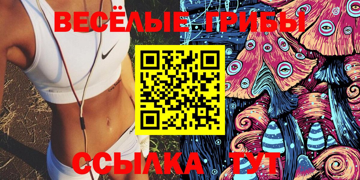 Псилоцибиновые грибы Psilocybe  Вход с VPN  Кинешма 